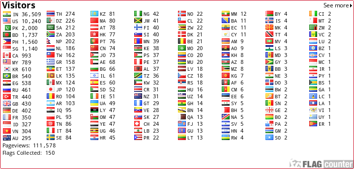 Flag Counter