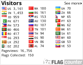 Flag Counter