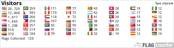 Flag Counter