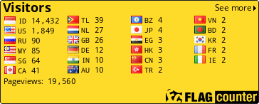Flag Counter