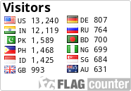 Flag Counter