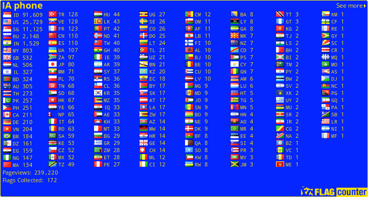 Flag Counter