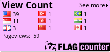 Flag Counter