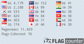 Flag Counter