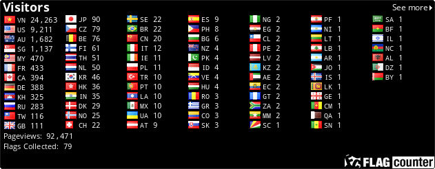 Flag Counter