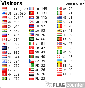 Flag Counter