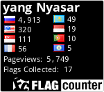 Flag Counter