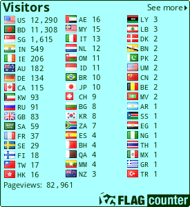 Flag Counter