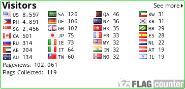 Flag Counter