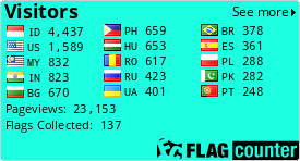 Flag Counter