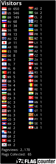Flag Counter
