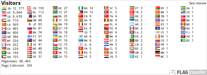 Flag Counter