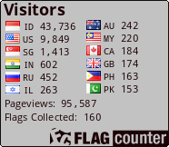 Flag Counter