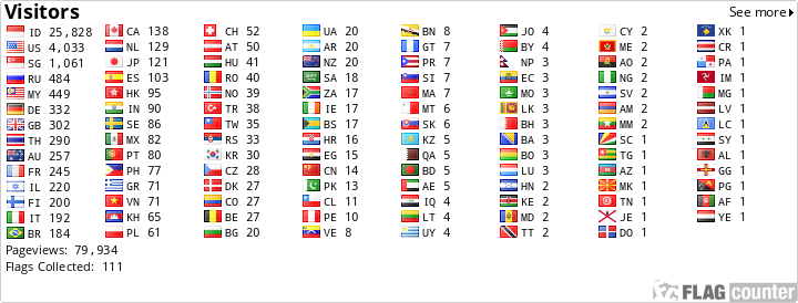 Flag Counter