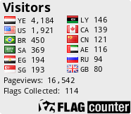 Flag Counter