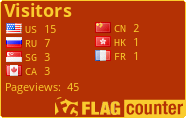 Flag Counter