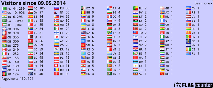Flag Counter
