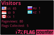 Flag Counter
