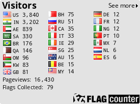 Flag Counter