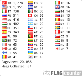 Flag Counter