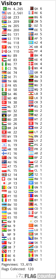 Flag Counter
