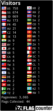 Flag Counter