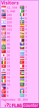 Flag Counter