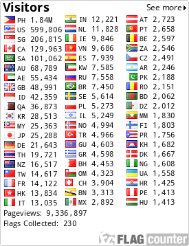 Flag Counter