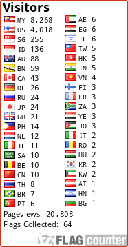 Flag Counter