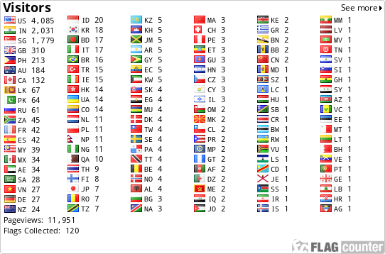 Flag Counter