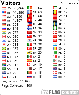 Flag Counter