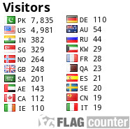 Flag Counter