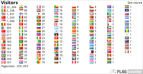 Flag Counter