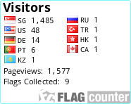 Flag Counter