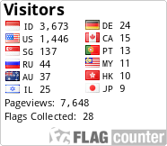 Flag Counter