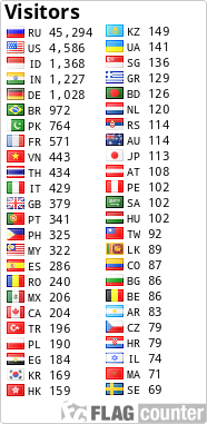 Flag Counter