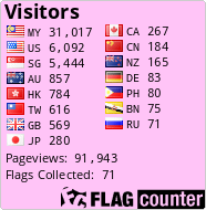 Flag Counter