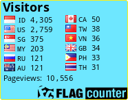 Flag Counter