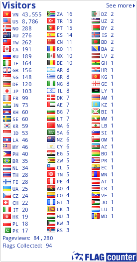 Flag Counter