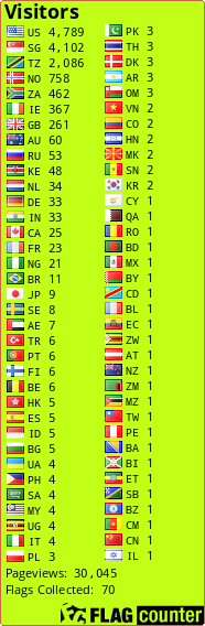Flag Counter