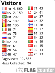 Flag Counter