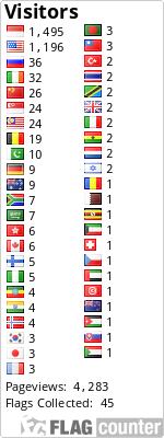 Flag Counter
