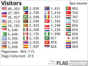 Flag Counter