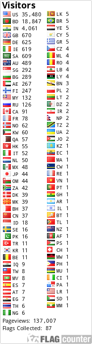 Flag Counter