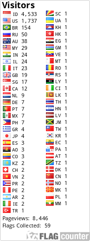 Flag Counter