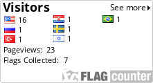 Flag Counter