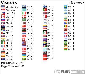 Flag Counter