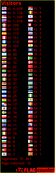 Flag Counter
