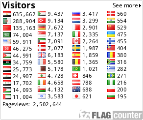 Flag Counter