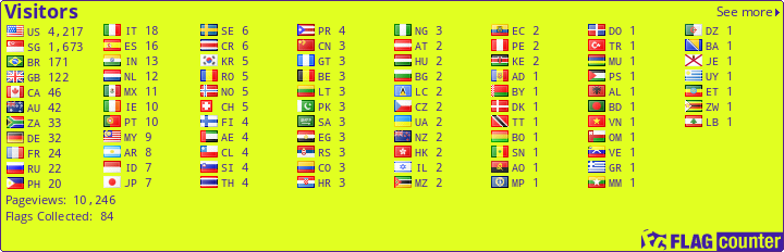 Flag Counter